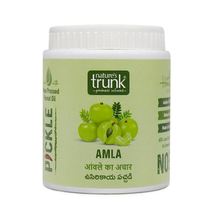 Amla Pickle | Usirikaya Pachadi
