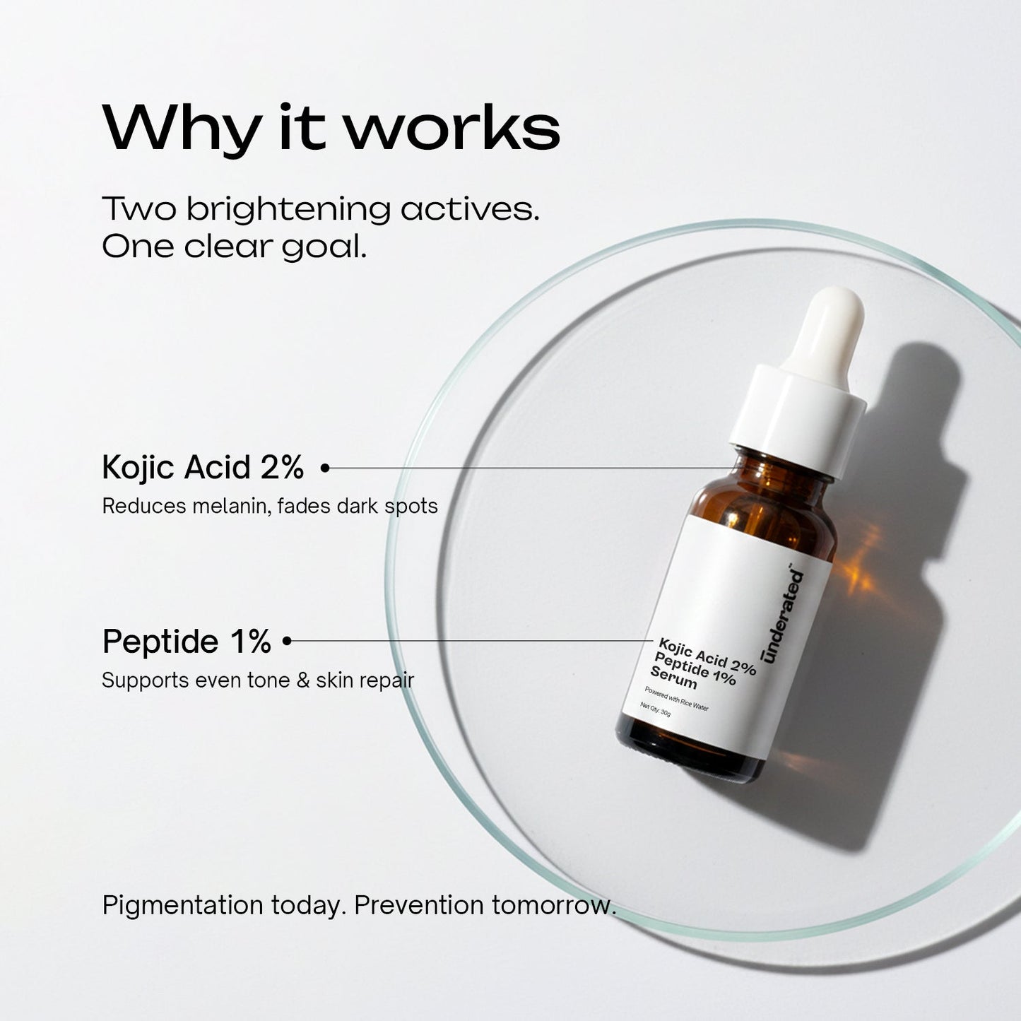 Kojic Acid 2% + Peptide 1% Serum