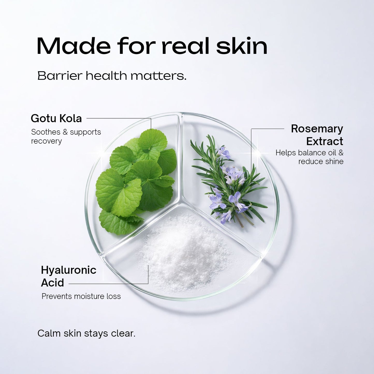 Niacinamide 5% Betaine 3% Serum