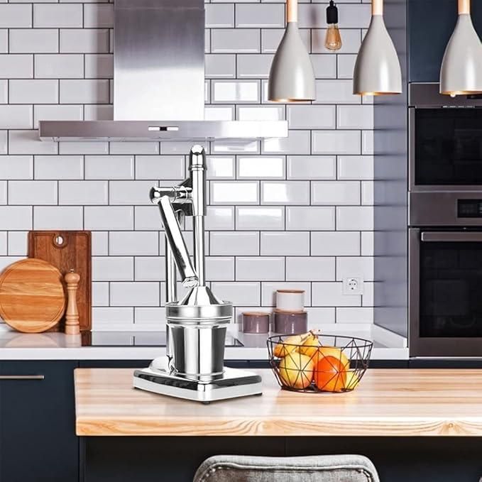 Fruit Juicer