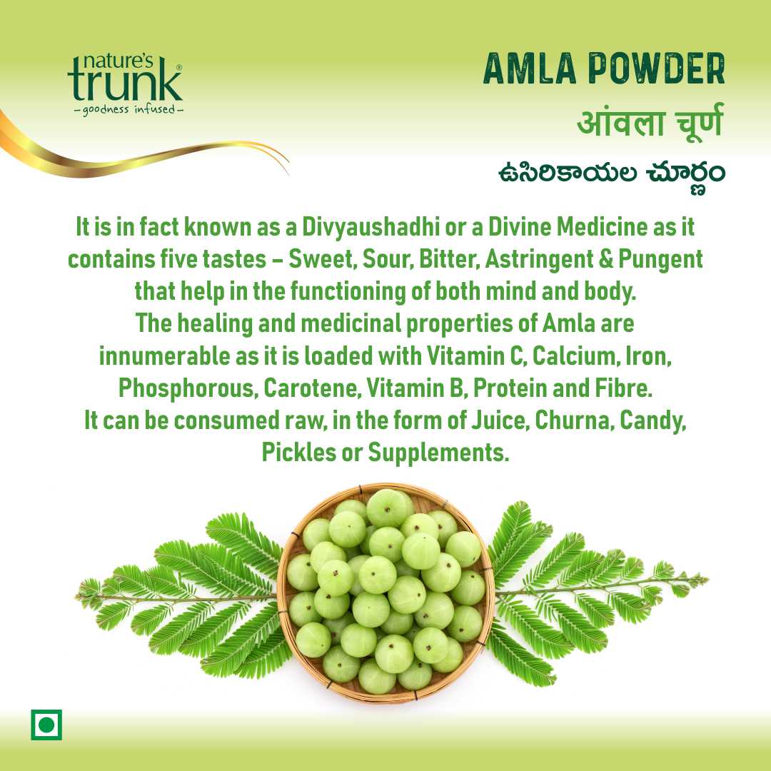 Benefits of amla powder for hair — natural amla powder helps reduce hair fall, improves shine, and supports scalp health.