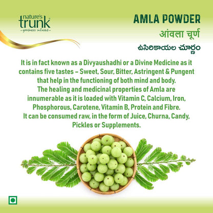 Benefits of amla powder for hair — natural amla powder helps reduce hair fall, improves shine, and supports scalp health.