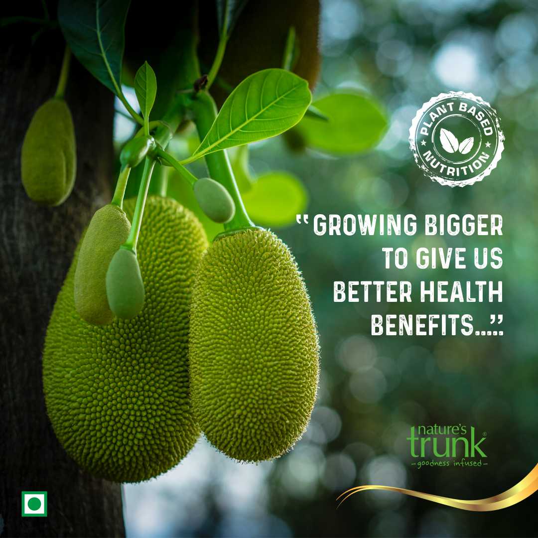 Eco-friendly packaging of Raw Jackfruit Flour — sustainably packed raw jackfruit flour for conscious consumers who buy raw jackfruit online.