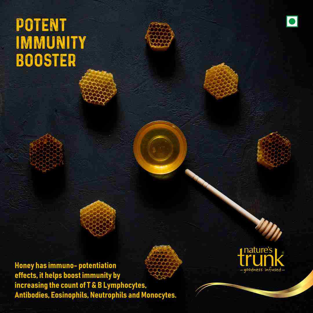 Nature’s Trunk honey benefits chart – immunity and digestion support with natural honey online delivery for daily wellness