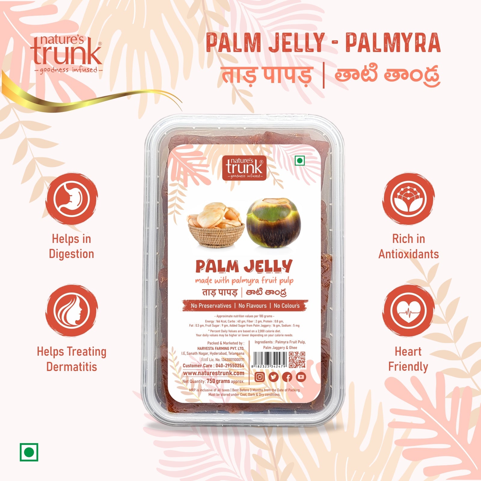 Nature’s Trunk 750g palm jelly jar front view – premium palm jelly to buy palm jelly online for desserts and drinks