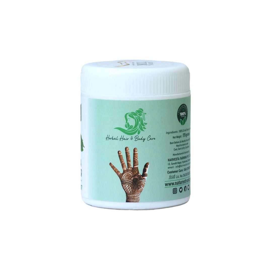 Pure henna powder texture displayed — high-quality Mehandhi Powder suitable for hair coloring, conditioning, and scalp nourishment.