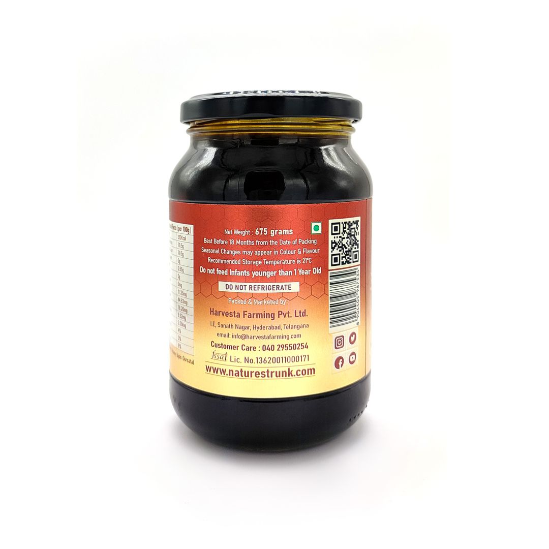 Close-up of wild forest honey with rich golden texture, pure organic sweetness for healthy consumption