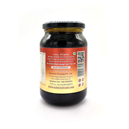 Close-up of wild forest honey with rich golden texture, pure organic sweetness for healthy consumption