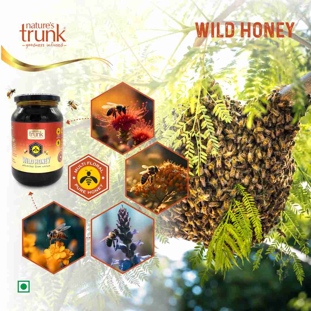 Overhead view of wild forest honey with rich golden swirls, pure organic texture ideal for honey online purchase