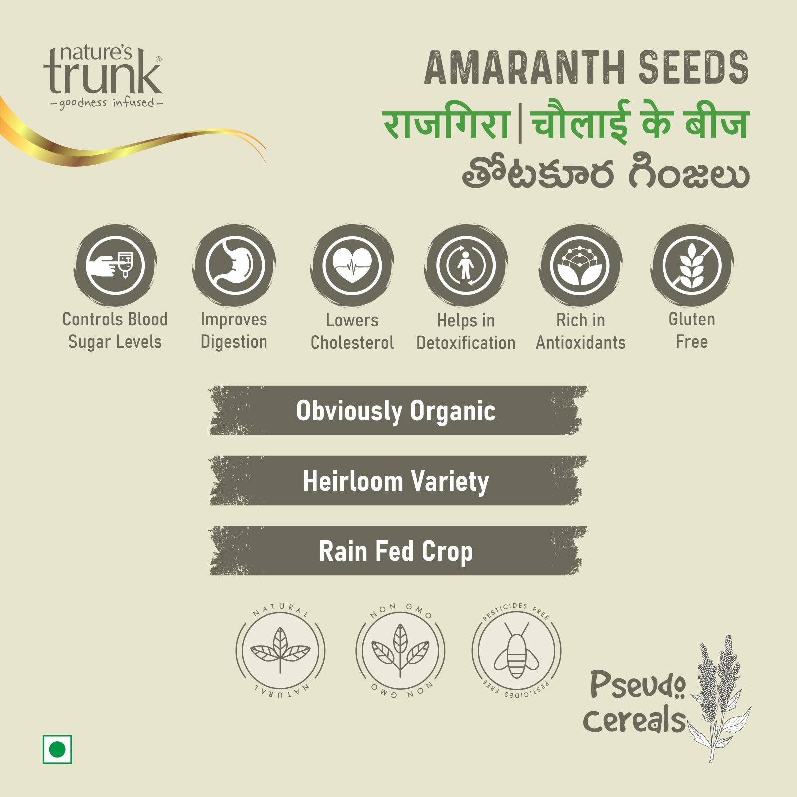Nature’s Trunk amaranth seeds infographic showing health benefits, organic heirloom rain-fed totakura ginjalu