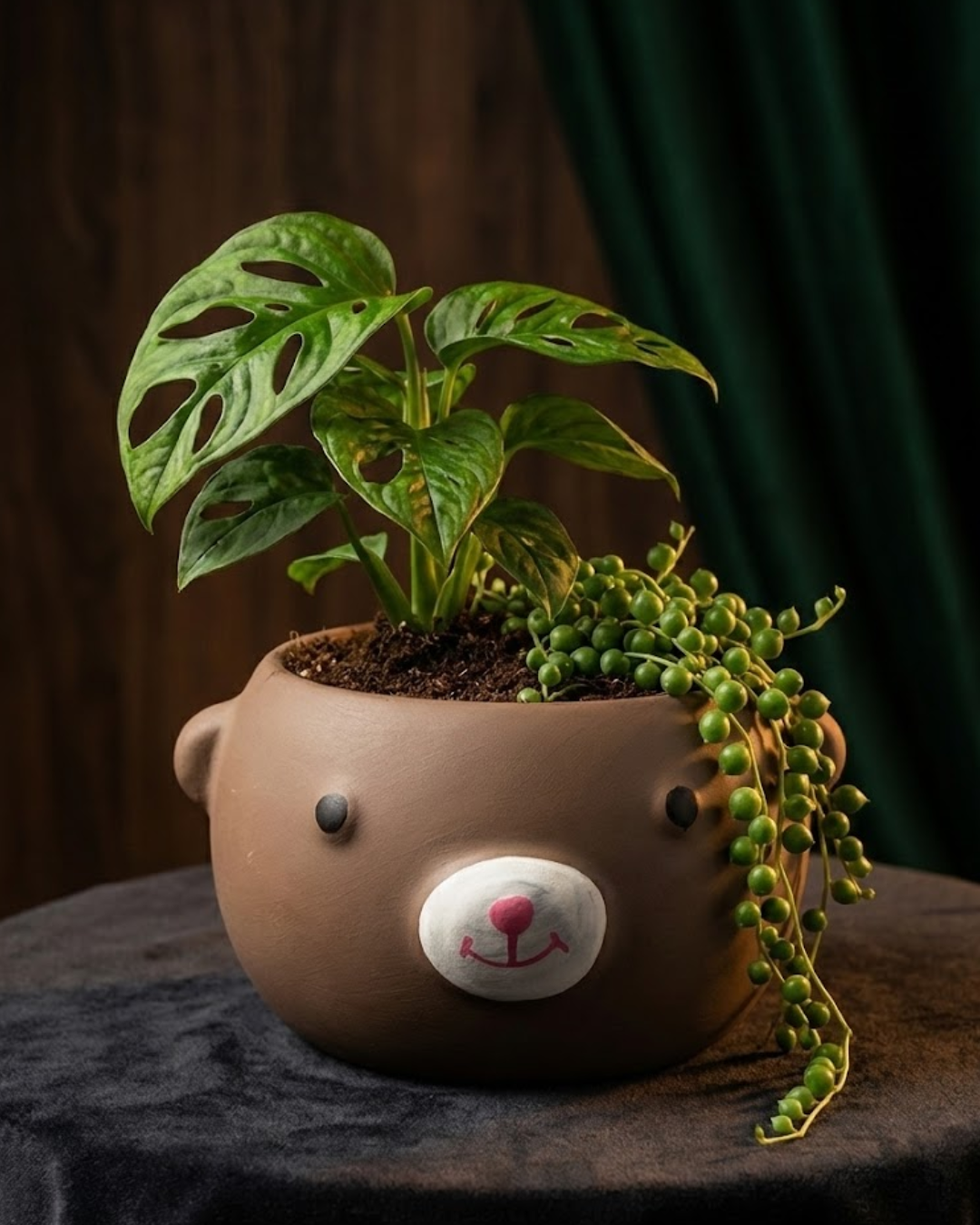 Little Bear Garden Pot