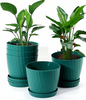 Products filtered by flower-pots