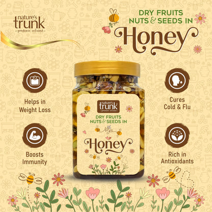 Dry Fruits, Nuts & Seeds in Honey