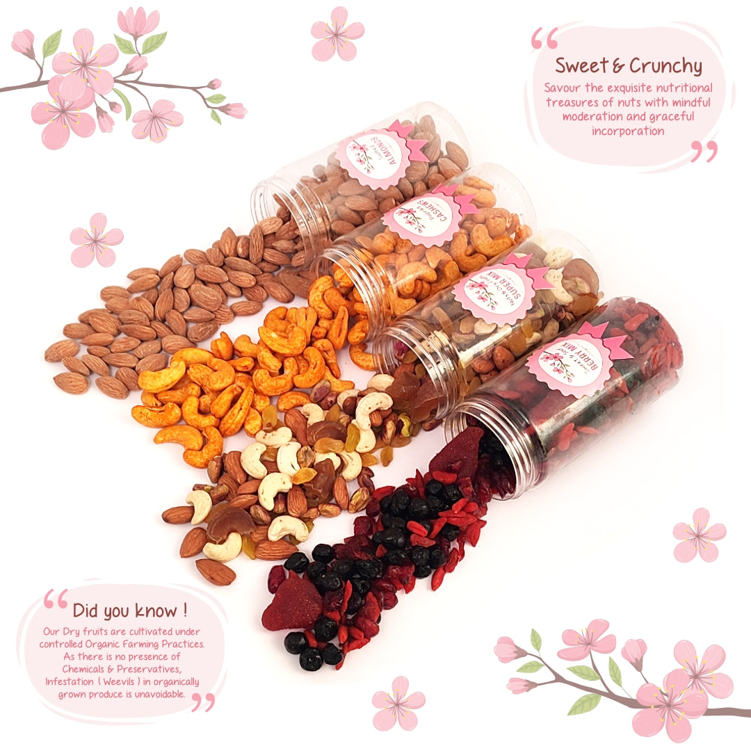 Moments - Festive Gift Hamper - Berries, Super Mix, Flavoured Cashew & Almonds