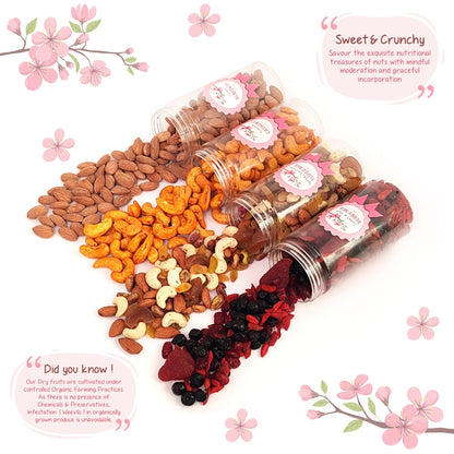 Moments - Festive Gift Hamper - Berries, Super Mix, Flavoured Cashew & Almonds