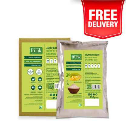 Raw Jackfruit Flour | Powder